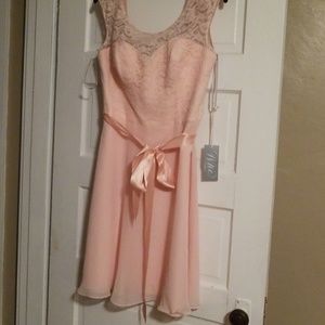 Pink Lacey dress NWT